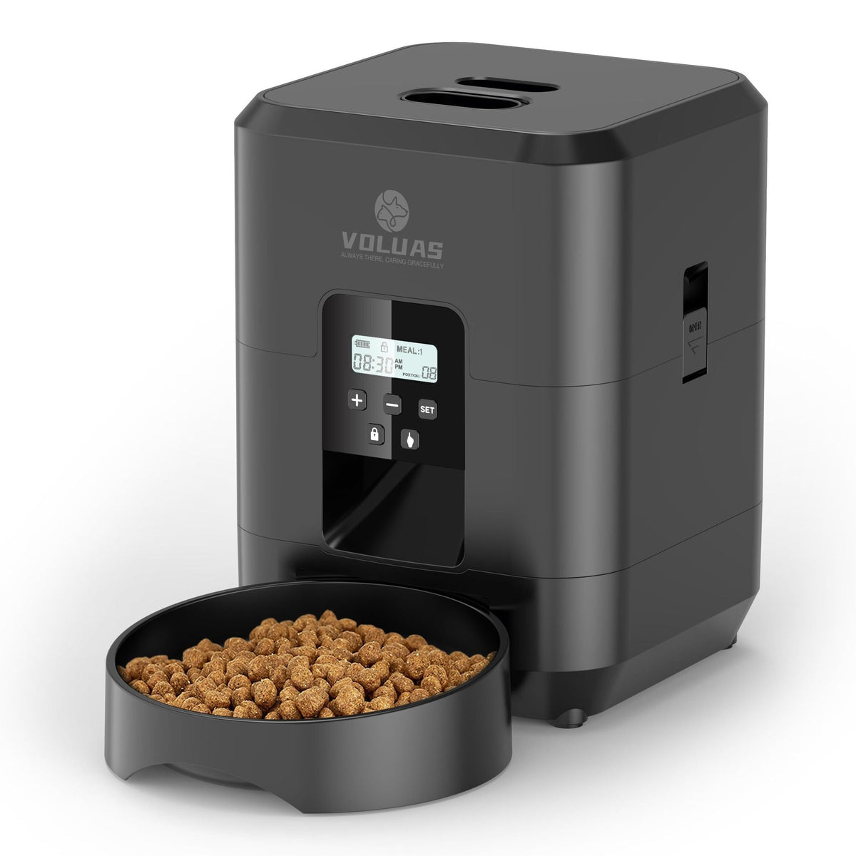 Veylory™ SmartFeed — Automatic Pet Feeder